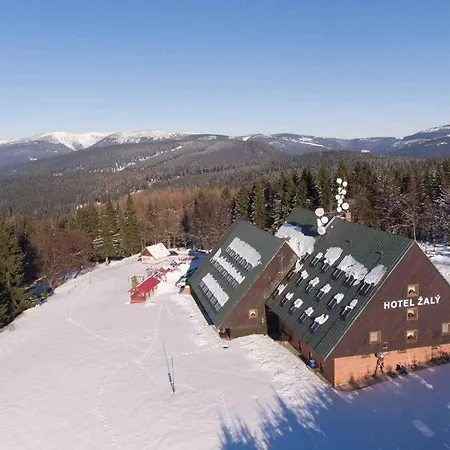 Apartamento žalý *