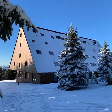 žalý Apartamento *